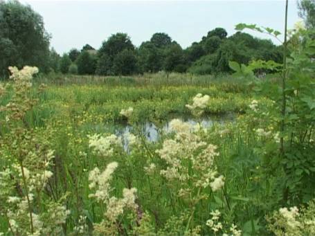 Museum Insel Hombroich : Im Sommer